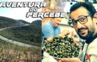 Aventura do Percebe 2017
